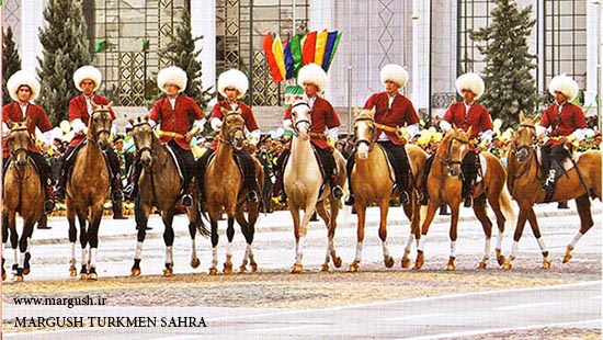 img51626a6c5492d - اسب ترکمن Turkmen At