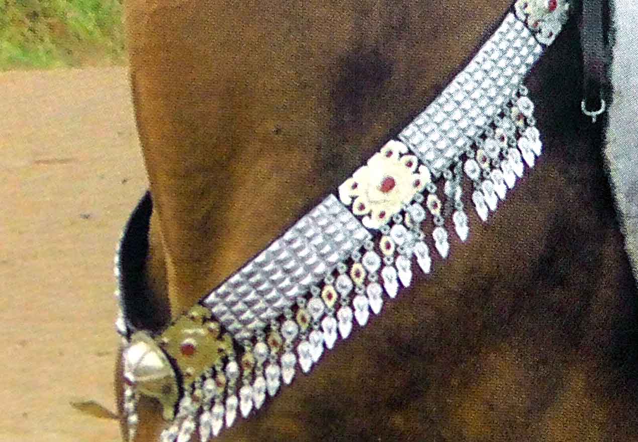 Bezeg 1 - تاریخچه اسب ترکمن (3)